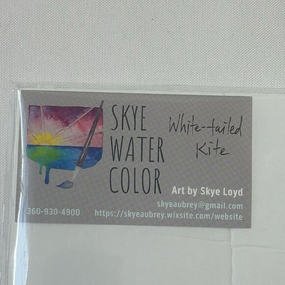 Skye Loyd White Tailed Kite Watercolor Print 8.5”x 11” Bird Of Prey Artwork New - Picture 5 of 6